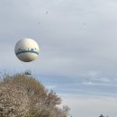 수원시립미술관 | 행궁동 수원시립미술관 ‘입는 존재’ 전시회 관람 후기