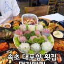 먹자대게 - 속초시 | 대포항횟집 먹자대게, 푸짐했던 2인 회세트 솔직후기
