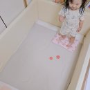 아기인견이불 추천 뮤라 인견플러스이불 후기 냉감 풍기인견