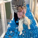 아쿠아 밸리 | 아이랑 가기 좋은 아쿠아밸리 키즈카페 후기