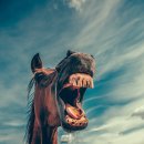 수석치과의원 이미지