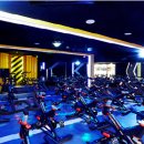 웰휘트니스퍼스널트레이닝센터 이미지