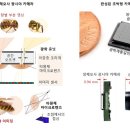그린스톤산업㈜ 이미지
