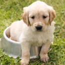 아름다운날 쉼 이미지