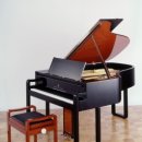 세계에서 가장 비싼 피아노는 이미지