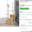 고양이 놀이터 이미지