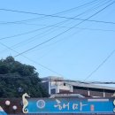 해마회식당 | 춘천 일식 맛집 해마 사시미코스 특대 생생후기