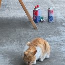 작고 소중해 이미지