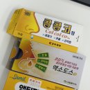 삼일약국 | 봄철 알레르기 비염약 추천 | 콜콜코 액소도스 액티피드 직접 복용한 솔직 비교 후기
