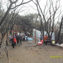 조견사우 이미지