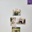 북대구세무서 앞 버스정류장 | [대구/북구] 무드라인 블랙틴팅 속눈썹펌 후기 &#34;바짝 올라간 예쁜 컬&#34;