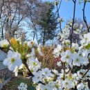 밭두렁농원 이미지