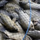 고담낚시터 이미지