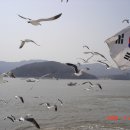 DSC04385.JPG 이미지