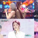 초원 뉴스1