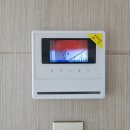 일진뜨리에 이미지