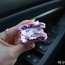 상남동237 이미지