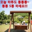 통통통 이미지