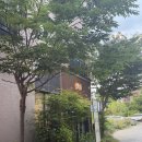 전주 만성동 맛집 만동 돈까스 김치나베 큐브스테이크 덮밥 솔직 후기