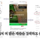 이태리모드