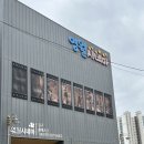 영월시네마 앞 이미지