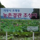 안골토종닭 이미지