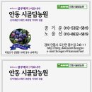 용수길(도산면) 이미지