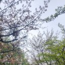 가장친절한정문앞중앙약국 이미지