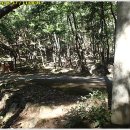 바람고개길 이미지