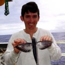 날으는 물고기 이미지