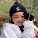내강아지옷장
