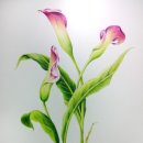 생활아트꽃그림 이미지