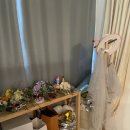 사진관A - 광산구 신창로 108 | 사진관A