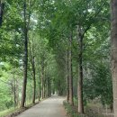 용두드론 | 광주 시민의 숲 러닝 코스 추천(주차장 추천)