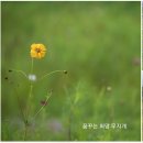 호수공원 2주차장옆 이미지