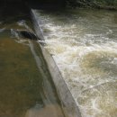 화산면사무소 이미지