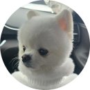 돼지슈퍼 - 도봉구 | [건대술집/가성비술집] 안주 가격 실화? 건대 먹자골목 레트로 감성 끝판왕 ‘화양슈퍼’ 솔직 후기!