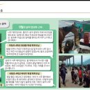 천지승마클럽 이미지