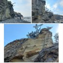 24년11월 64연합산악회 포항 해파랑15.16길 (2024년11월23일) 이미지