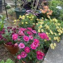 의료법인안심의료재단 안심요양병원 이미지