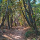 배산목장 이미지