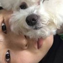 포스튜디오