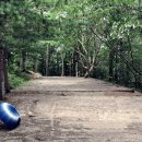 덕유대야영장 이미지