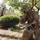 송풍초등학교 이미지