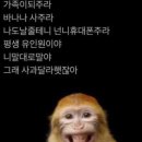 여헌로-11 네이버블로그