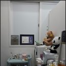 모브로우