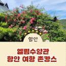 여항산 정원펜션 | 함안 여항 촌캉스 전원주택 엘림수양관,넓은 대강당에 비밀정원까지 품은 함안 여항면 엘림수양관