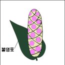 화서가 이미지