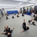 용인대 수 합기도 이미지