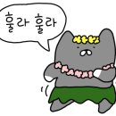 타코모리 이미지